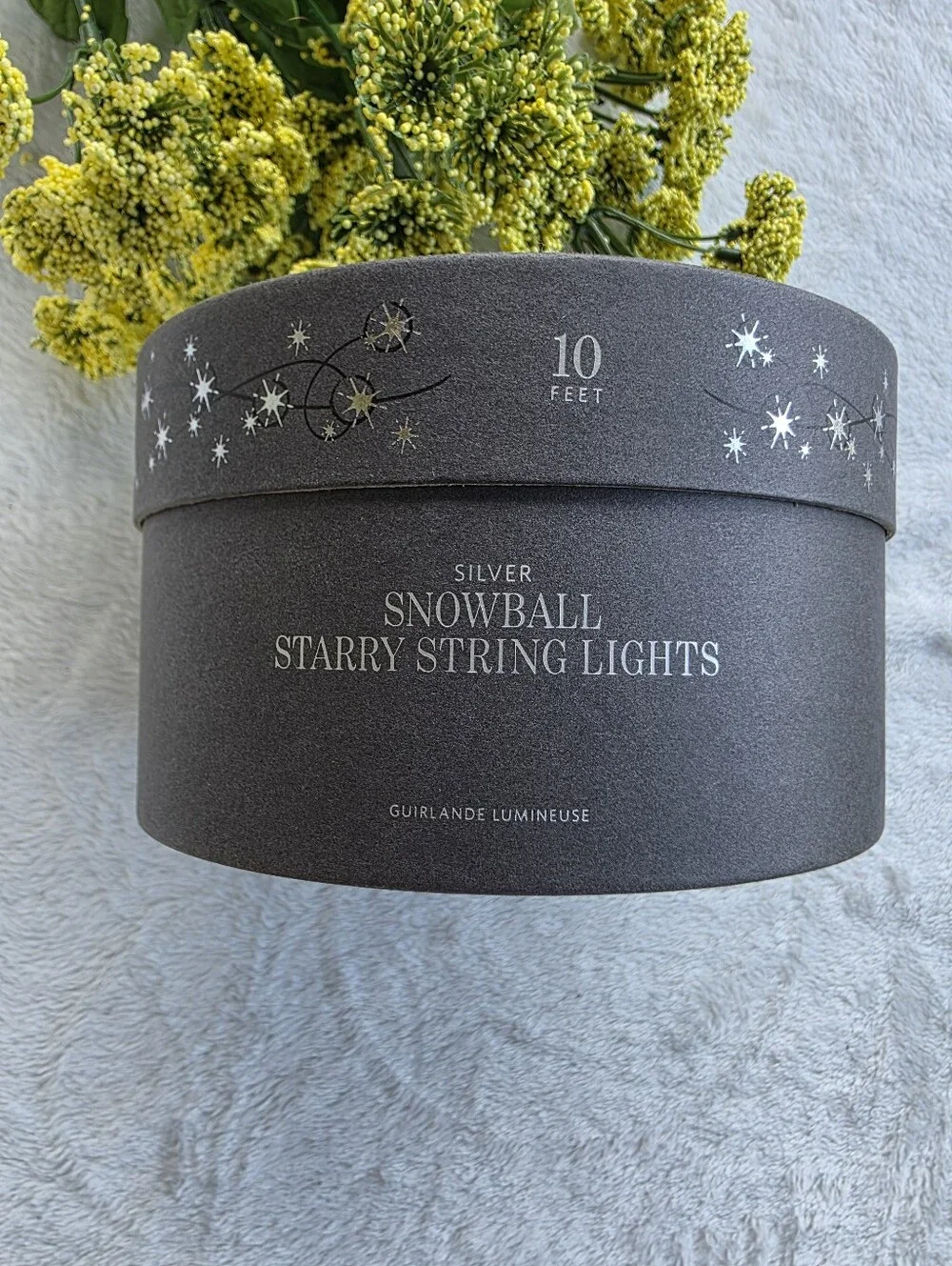 Restoration Hardware Silver Snowball Starry String Lights (10 Feet)